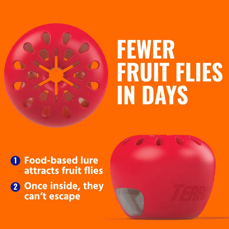 TERRO Indoor Fruit Fly Traps (2-Pack) with 90-Day Lure Supply - Effective Solution for Controlling Fruit Flies Near Food and Trash Areas - Ready-to-Use