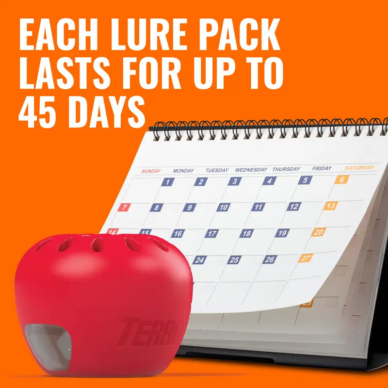 TERRO Indoor Fruit Fly Traps (2-Pack) with 90-Day Lure Supply - Effective Solution for Controlling Fruit Flies Near Food and Trash Areas - Ready-to-Use